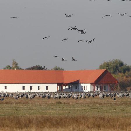 Bibic Nature Lodge Balmazújváros Екстериор снимка