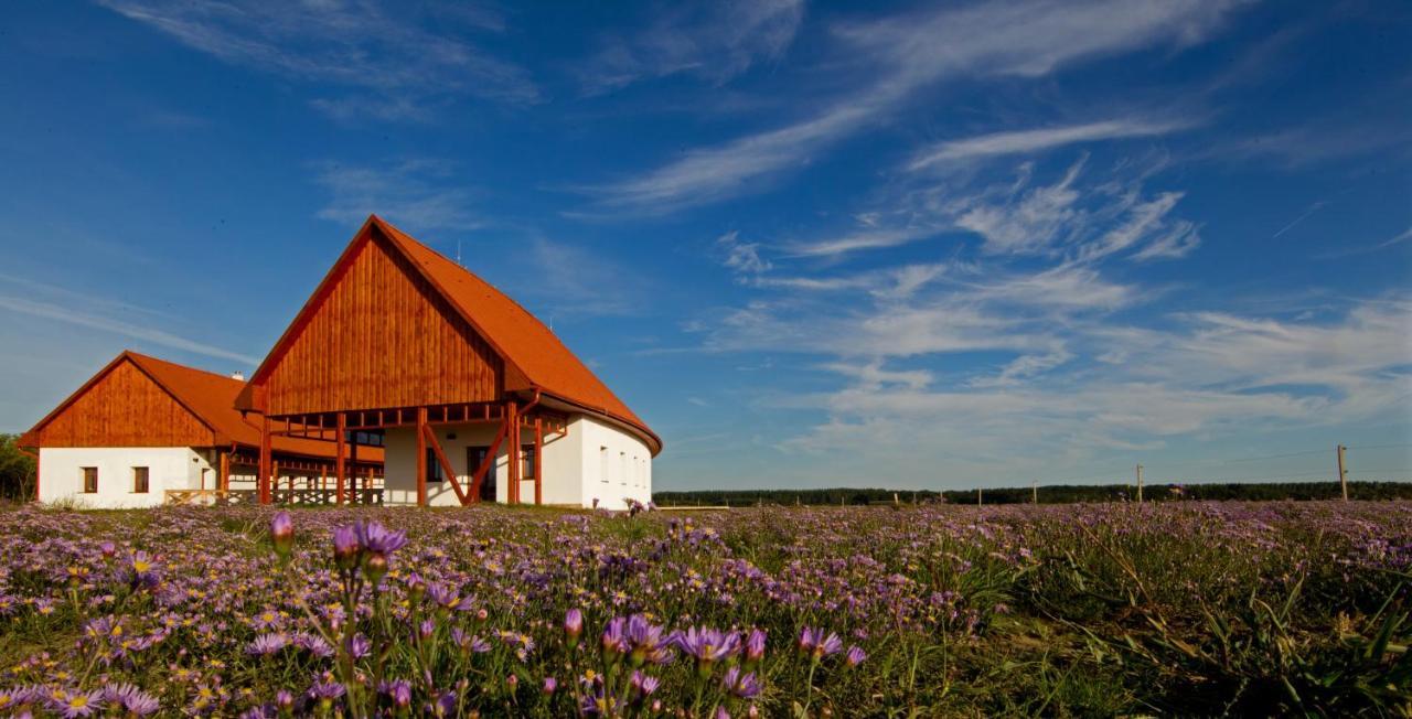 Bibic Nature Lodge Balmazújváros Екстериор снимка