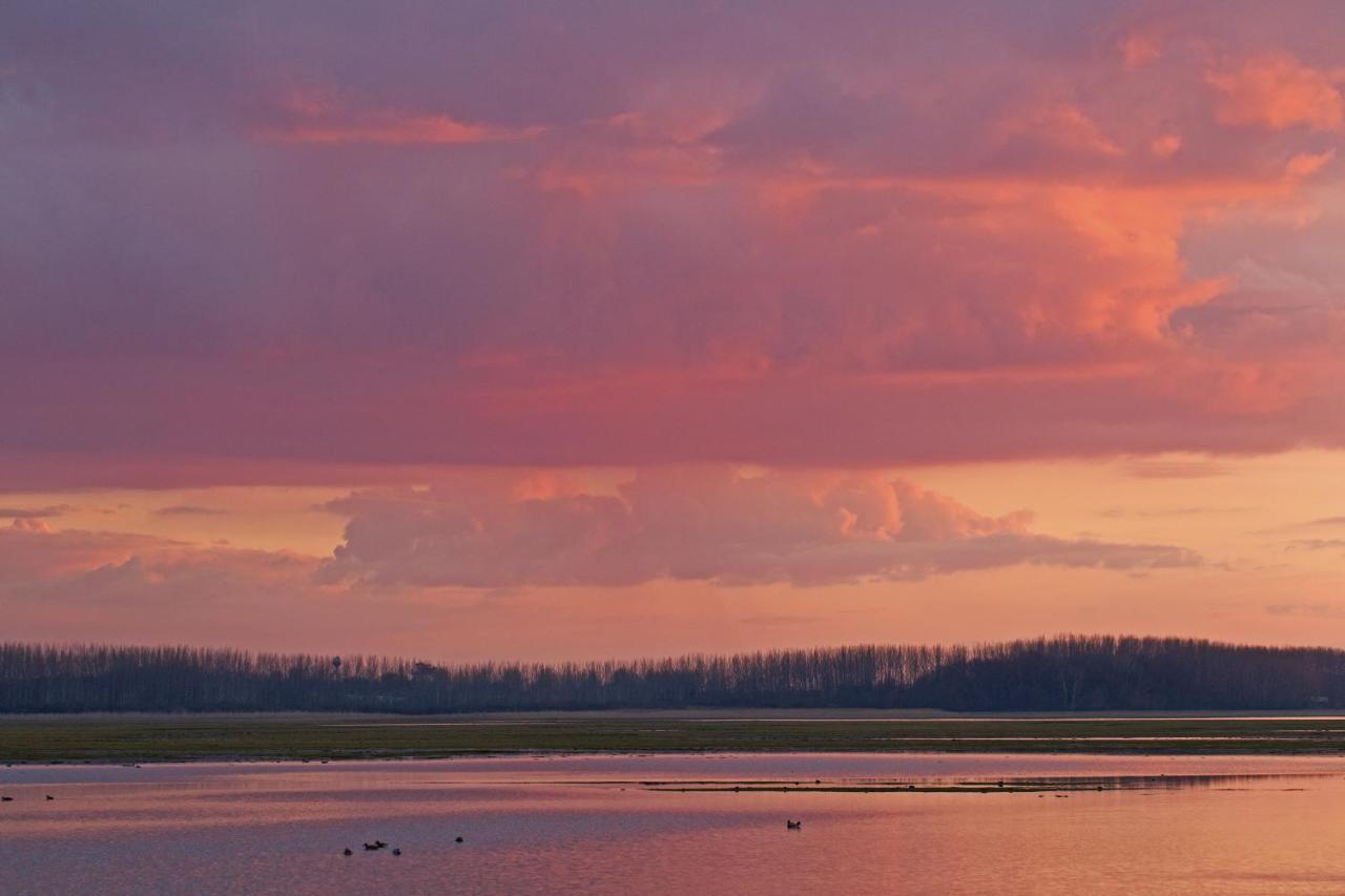 Bibic Nature Lodge Balmazújváros Екстериор снимка